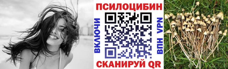 Галлюциногенные грибы Cubensis купить наркотик Армянск